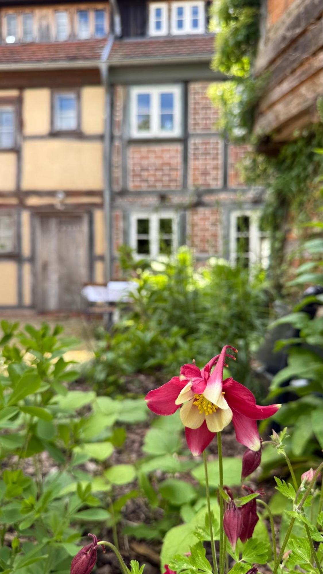 Ferienhaus St. Johannis Werben  Exteriör bild